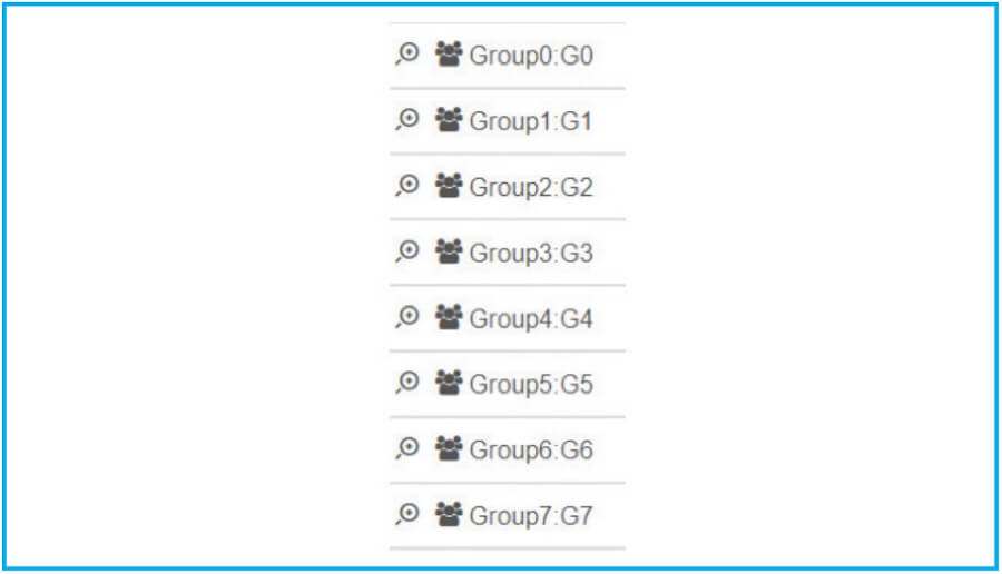Web Programmer group